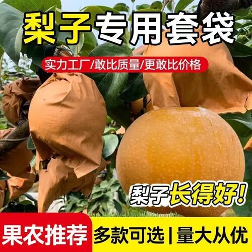 果套袋桃子翠冠梨专用袋单双层防虫防水透气果纸袋子樱桃通用套袋