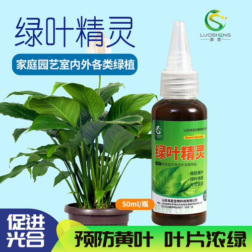 洛圣绿叶精灵解决黄叶死苗叶面肥花卉蔬菜果树一喷绿通用型营养液