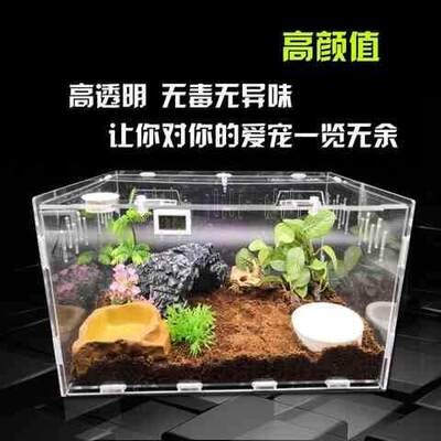 蜗牛饲养盒爬宠亚克力专用盒子小中大号透明箱爬虫窝防逃逸别墅的