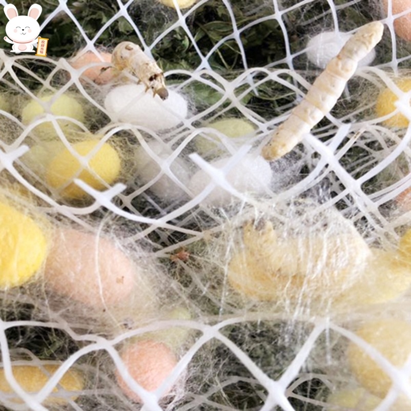 蚕结茧架蚕宝宝上山神器蚕宝宝吐丝专用网结茧工具格加厚方格簇