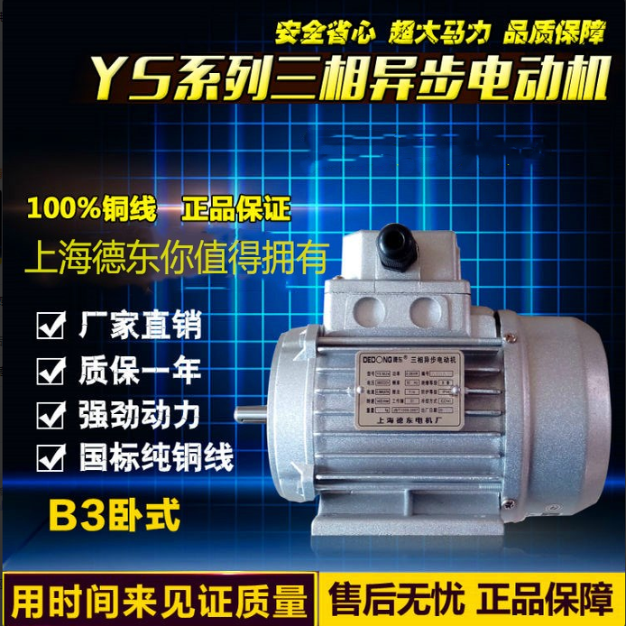 三相异步电动机电机德东上海国标