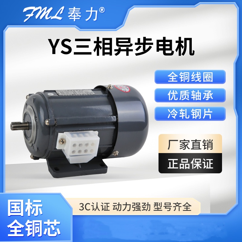 微型三相异步电动机FML/奉力