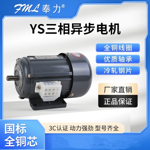 微型三相异步电动机FML/奉力