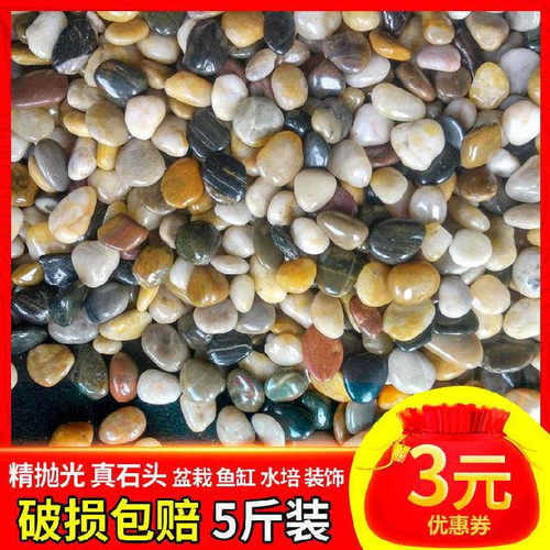 墙面铺地。石子家庭铺面绿植暖石户外？白色铺路鹅卵石大号雨花石