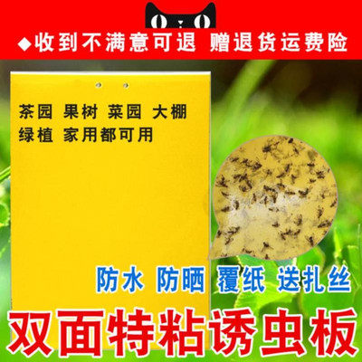 粘板果园蚊蝇果树上粘虫子的粘贴室外菜地黄色沾农户虫贴植物园艺