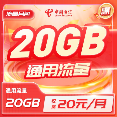 湖南电信20元20GB加油包流量包充值特惠20GB次包当月有效每月20元