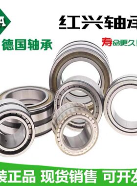 德国进口INA滚子轴承SL 182928 182930 182932 182934 A C3 XL NR