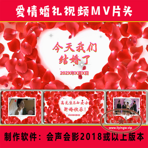 R289 我们结婚了视频版婚礼片头|心形花瓣飘落 会声会影模板