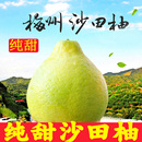梅州正宗沙田柚子梅县南福金柚新鲜水果广东冰糖柚碌柚非容县