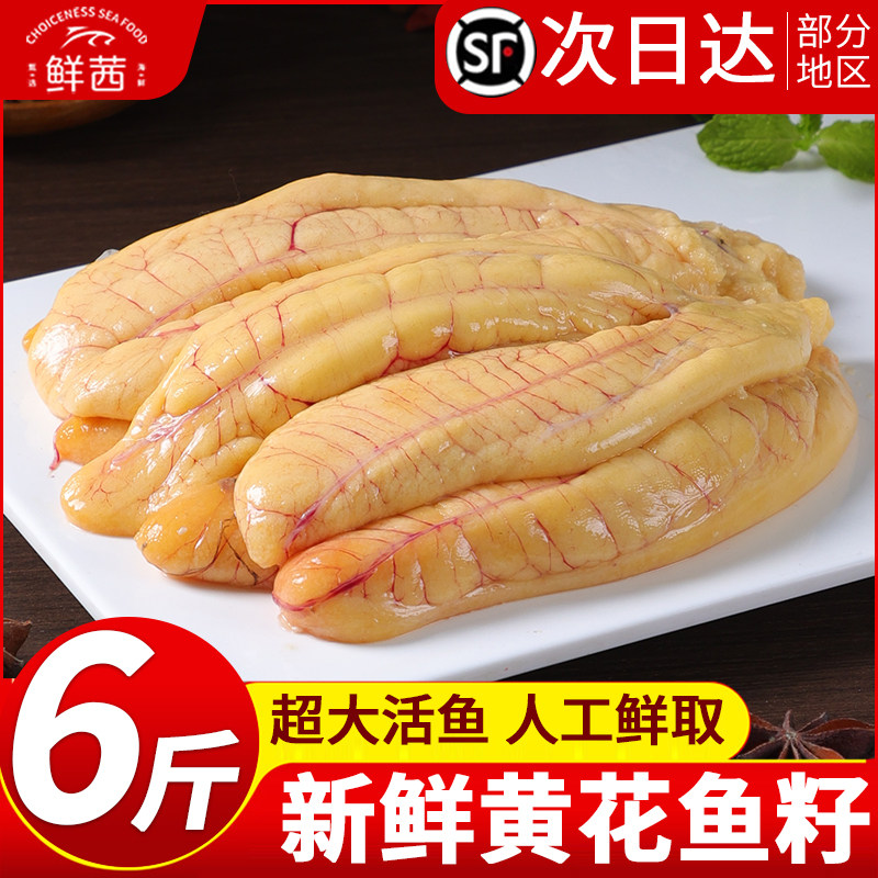超大黄花鱼籽新鲜鱼籽鱼泡鱼肚鱼白鱼膘鱼杂鱼蛋鲜活海鲜冷冻商用