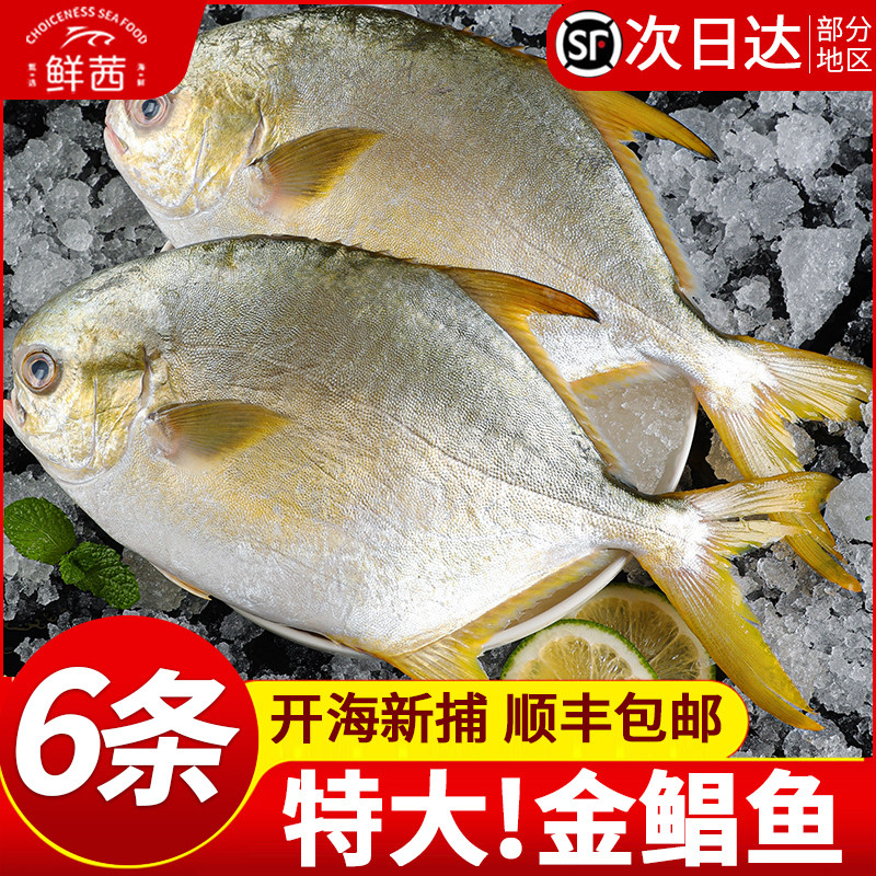 新鲜金鲳鱼特大冷冻海鱼深海鲳鱼金昌鱼平鱼冷冻海鲜水产批发商用,水产肉类/新鲜蔬果/熟食,鲳鱼,淘宝优惠券,粉丝福利购,淘宝优惠卷