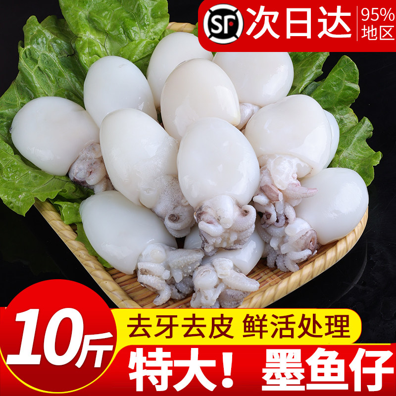 墨鱼仔新鲜冷冻小墨鱼包冰鲜活冷冻乌贼小鱿鱼捞汁小海鲜商用