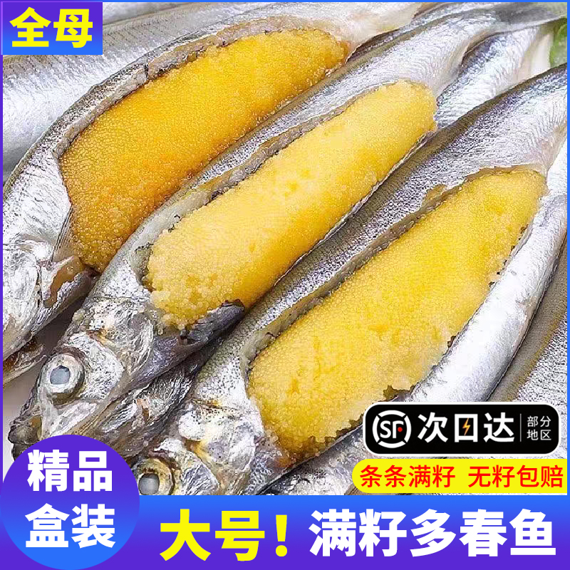 多春鱼满籽新鲜满籽冷冻