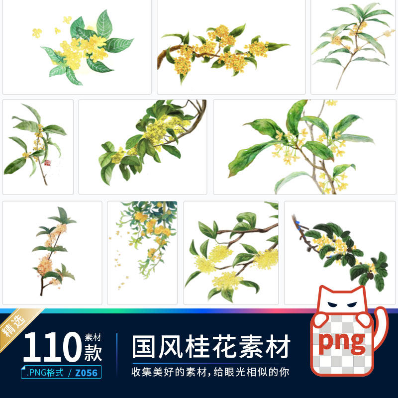 水彩手绘桂花中国古风中秋唯美装饰免抠png透明背景ps设计素材