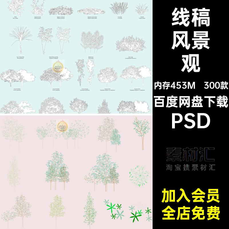 线稿风植物PSD效果图树木立面图素材乔木灌木300款建筑平面景观