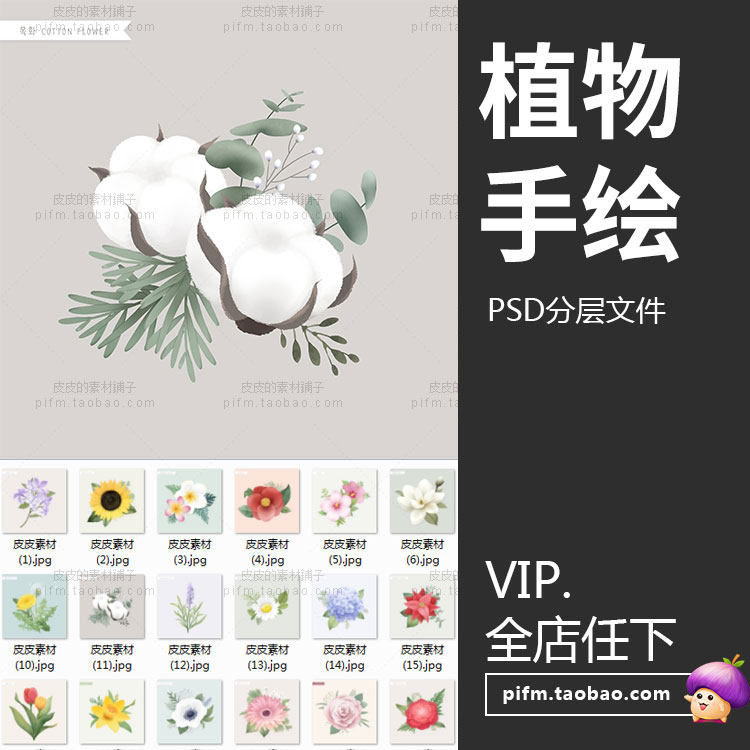 s2098精美水彩手绘花卉绿植植物棉花多肉插画元素psd分层设计素材