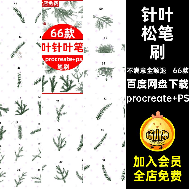 66款雪松笔刷松叶procreate圣诞节柏树ps氛围装饰针叶松松树笔刷