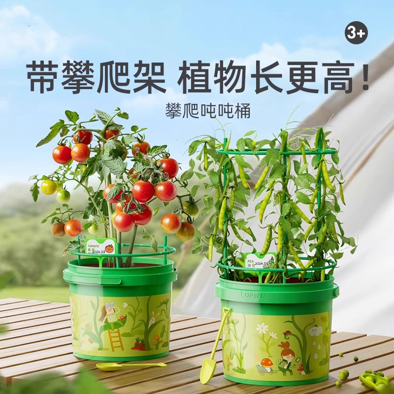 【万人选购】体验种植的乐趣