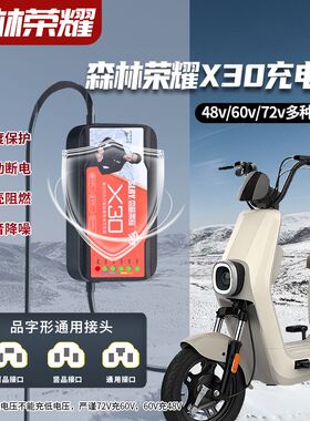 自动断电智能电动车电瓶充电器48V60V20AH72V爱玛二轮三轮车通用