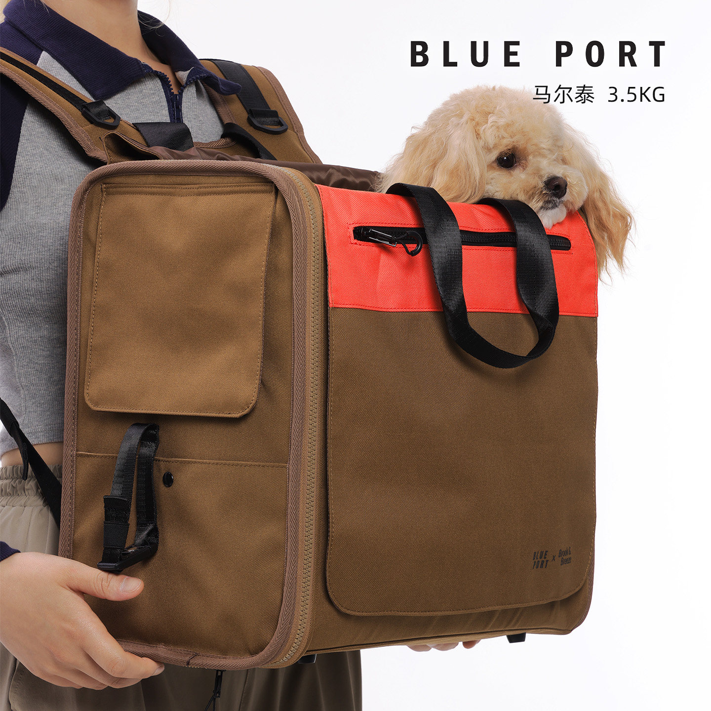 Blueport猫狗外出双肩包防应激