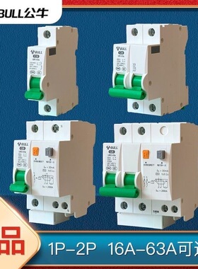 公牛空气开关家用单极1P断路器220V短路电闸63A总闸保护器2P空开