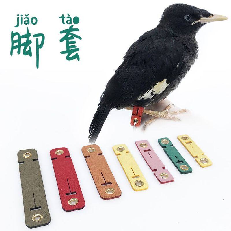 鸽子拌脚套绊脚皮套鹩哥家用喜鹊鸟链八哥乌鸦鹦鹉鸟用护脚脚环鹰