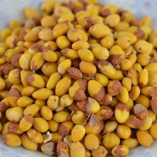 银杏果白果仁去壳干货晒烘干生白果干白果果仁新货中药材药食同源