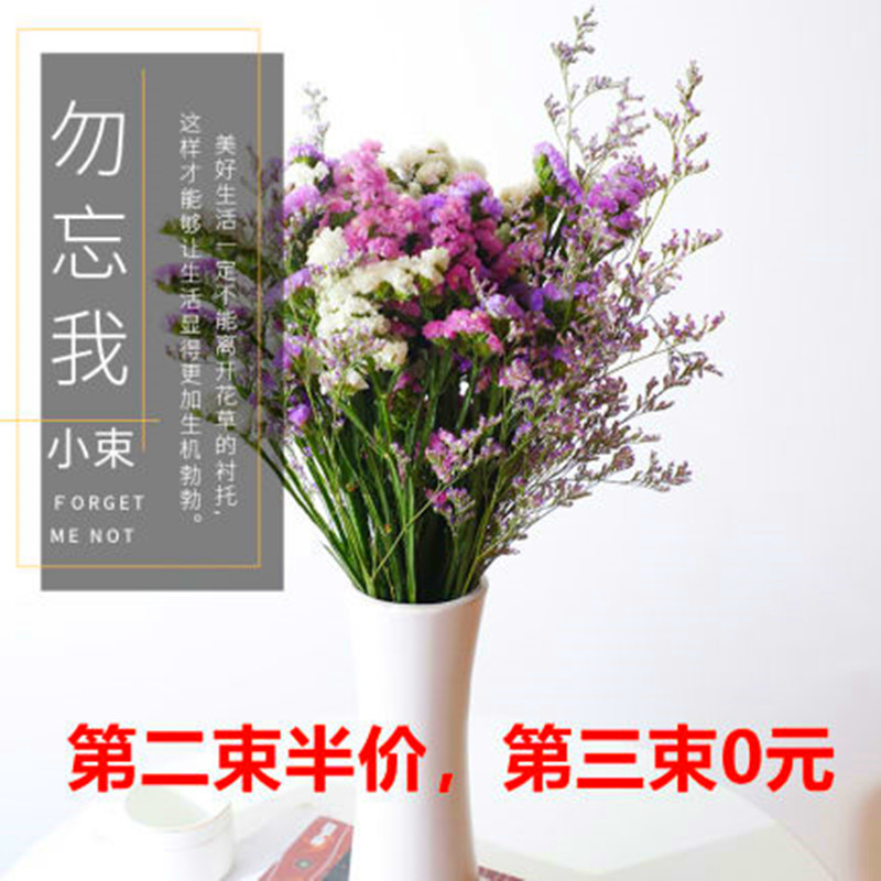 云南天然干花花束勿忘我满天星客厅真花装饰家居客厅摆设风干真花 鲜花速递/花卉仿真/绿植园艺 干花 原图主图