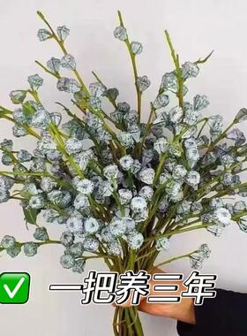 真尤加利果干花束DIY材料包