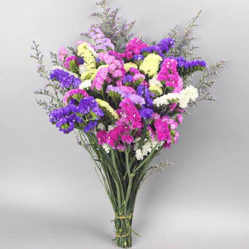 云南干花花束勿忘我家居摆设大束