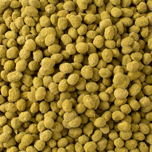 农家新货自然发酵霉黄豆捂黄豆可做西瓜酱辣椒酱豆瓣酱黄豆鼓酱油