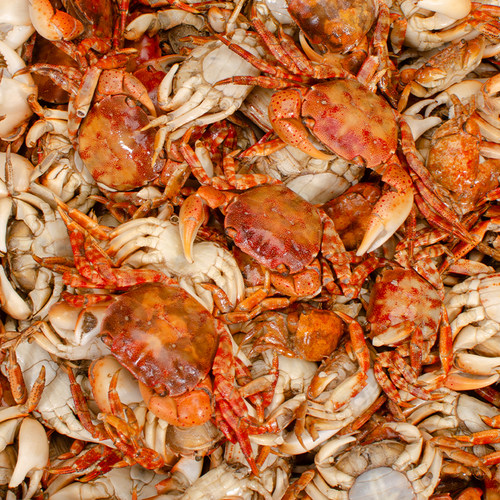 小螃蟹干货食材海鲜火锅底料店汤底炖酸菜油炸辣炒散装500克包邮