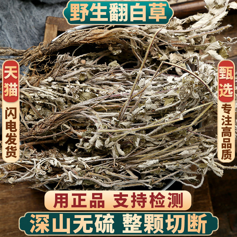 野生翻白草中药材500g250g100克正品新货另售绞股蓝苦丁茶地骨皮 - 实物图