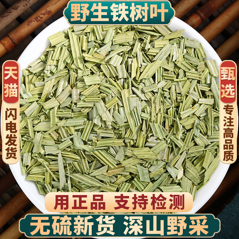 野生铁树叶正品新货无硫中药材