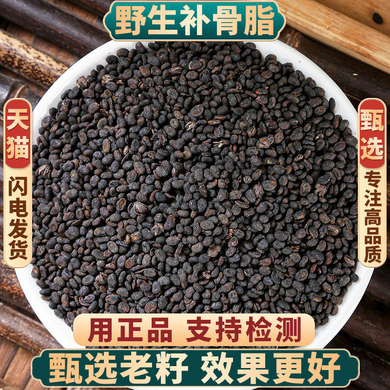 野生补骨脂500g250g100g中药材正品补骨脂破故纸婆黑故子补骨脂粉