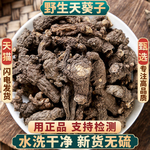 野生天葵子中药材新货无硫正品