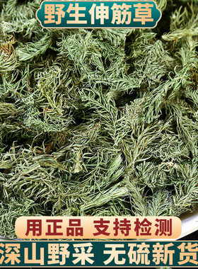 野生伸筋草500g250g100g正品另售远志益智仁透骨草泡脚中药材新货