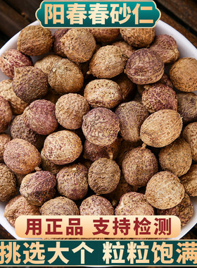 正宗阳春砂仁中药材100g250g500g官方旗舰店砂仁正品中药香料特产