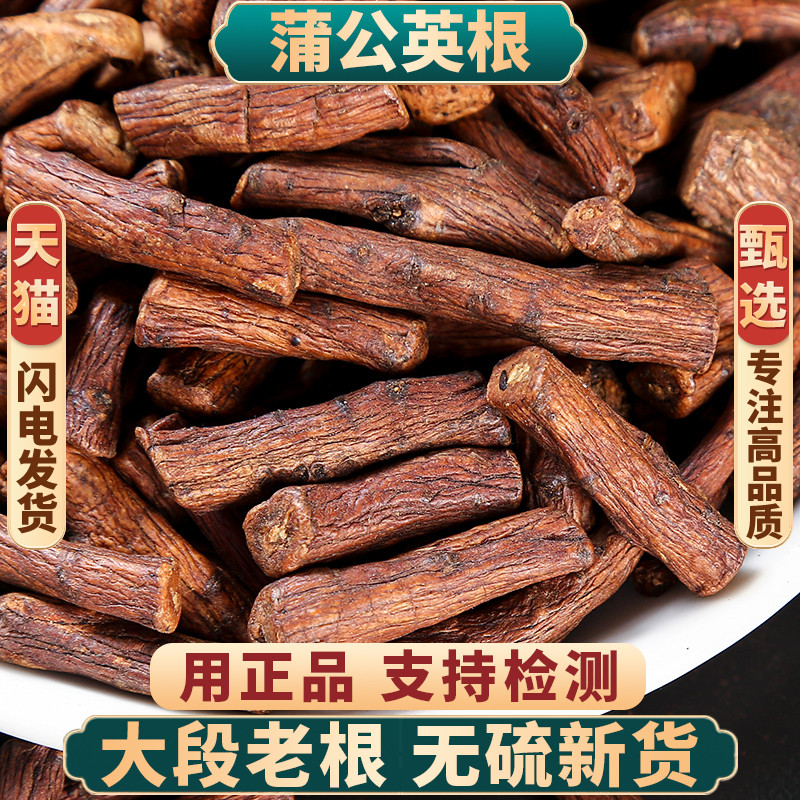 野生蒲公英根500g中药材正品旗舰店蒲公英根另售菊苣根泡茶泡水