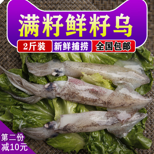 海兔当日上岸农倍鲜非常新鲜