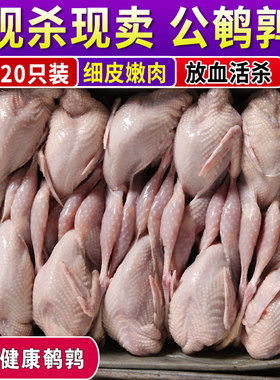 新鲜鹌鹑肉速冻20油炸现杀