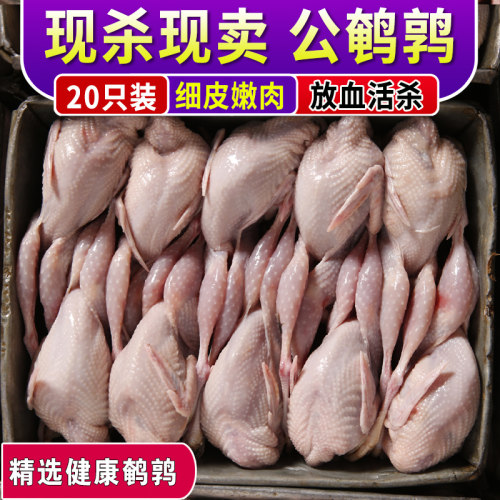 新鲜鹌鹑肉速冻20油炸现杀