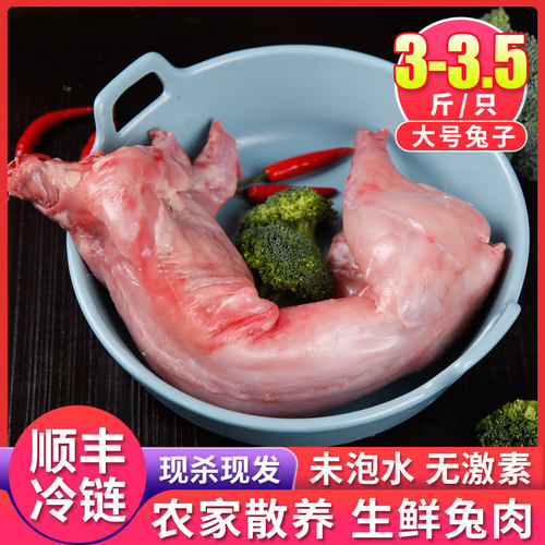 兔肉超大号新鲜现杀正宗好兔子