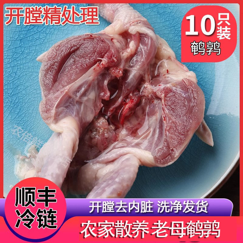 开膛鹌鹑速冻白条油炸现杀