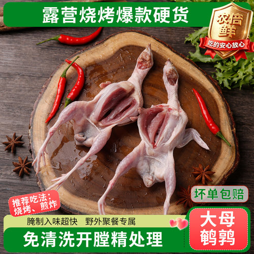 开膛精处理鹌鹑免洗适合户外
