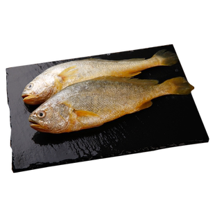 新鲜大黄花鱼冷冻生鲜海捕黄鱼水产生冷冻海鱼深海小黄鱼8条