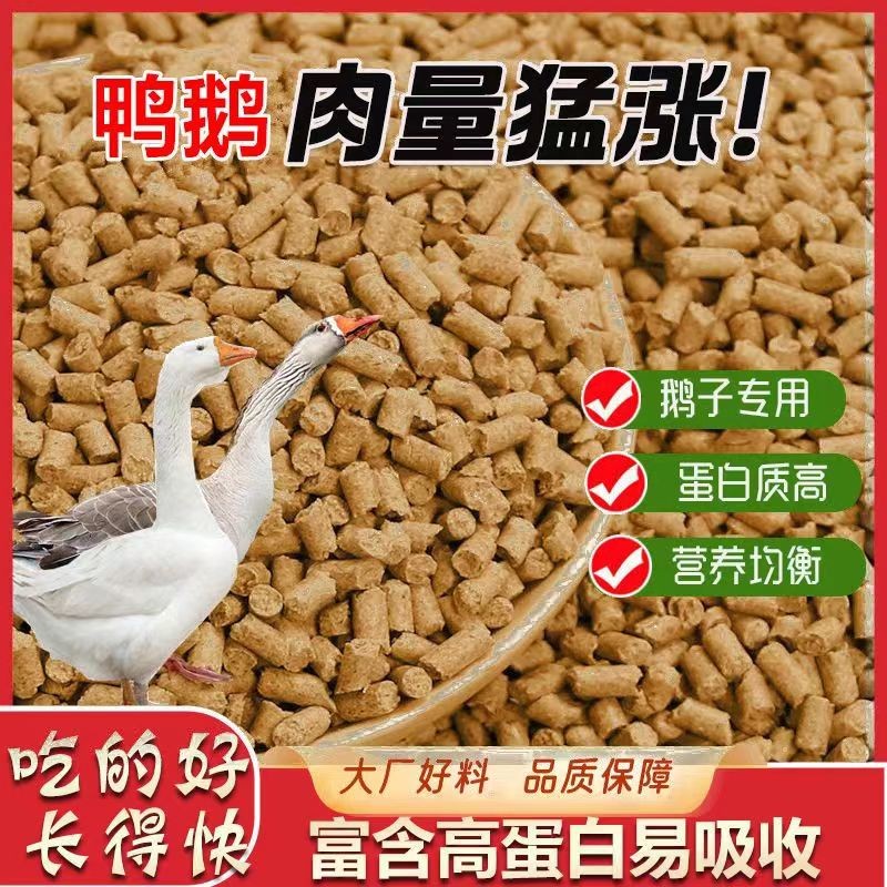成年大鹅专用大颗粒鹅饲料