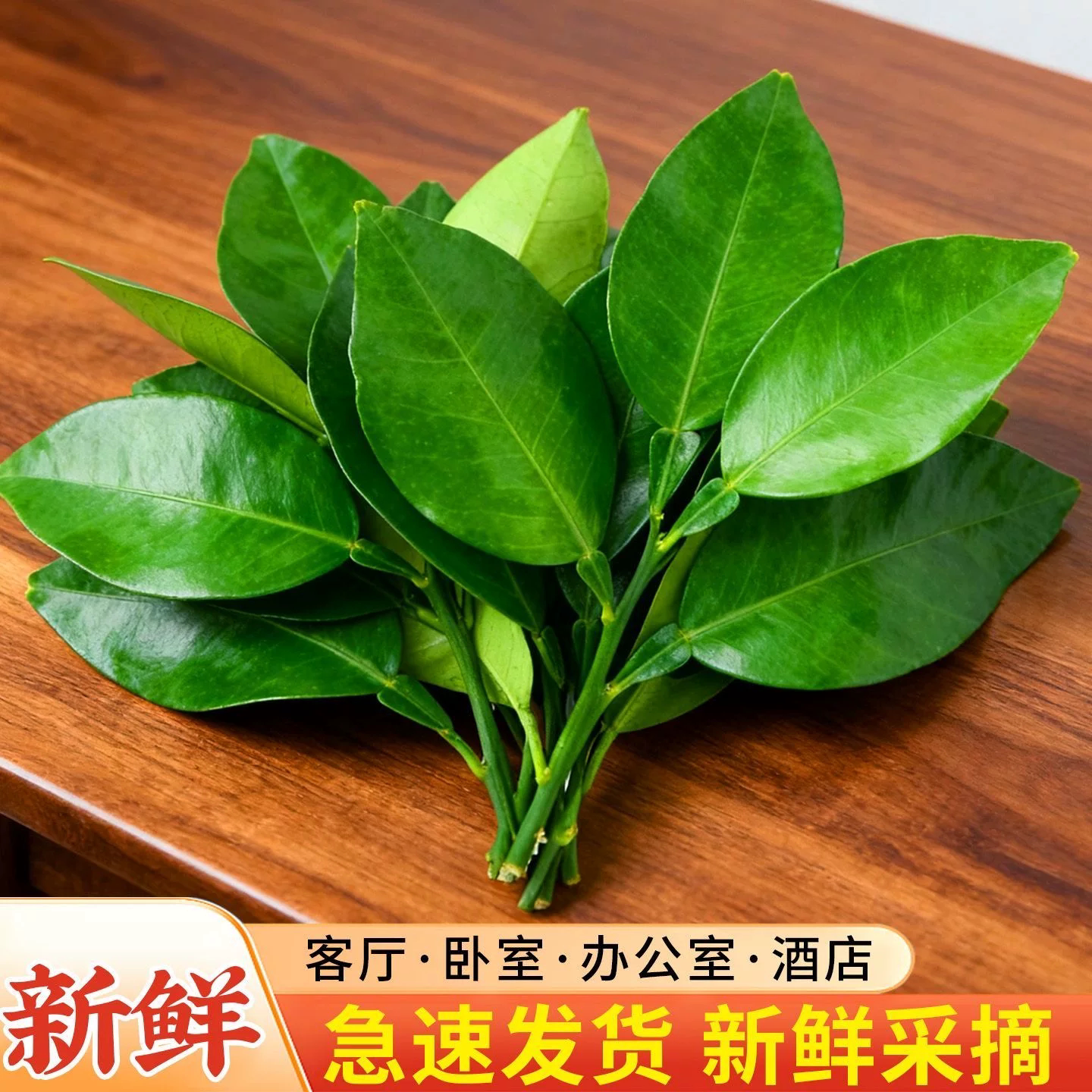 新鲜现摘柚子叶开运祈福沐浴老树