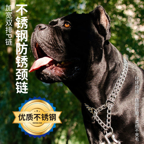 201不锈钢P链狗狗项圈小型中型大型犬金毛马犬宠物脖套牵引绳链子