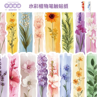 50张水彩植物笔触贴纸diy手机壳笔记本电脑手账水杯装饰防水贴画